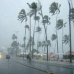 CHUVAS EM MACEIÓ PROVOCAM QUEDA DE ÁRVORE E DESABAMENTO
