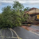 CIDADES DA ZONA DA MATA ESTÃO SOB ALERTA DE VENDAVAL; VEJA LISTA