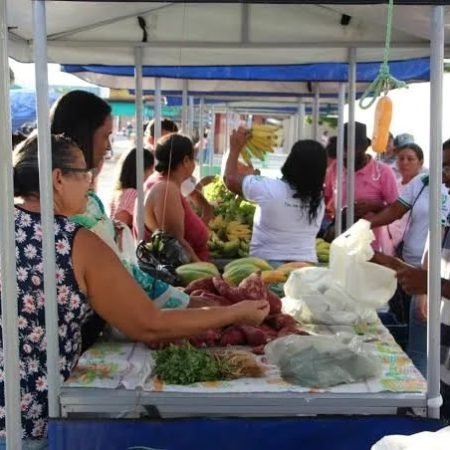 FEIRA SUSTENTÁVEL DA NOSSA TERRA ACONTECE NESTA QUINTA-FEIRA (26) NO CALÇADÃO DO COMÉRCIO DE DELMIRO GOUVEIA