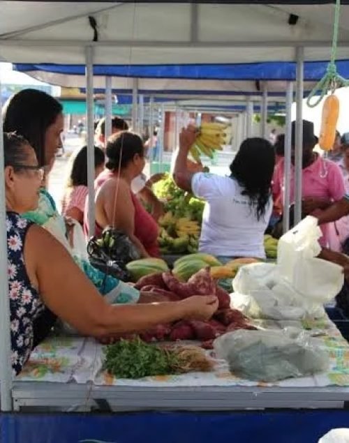 FEIRA SUSTENTÁVEL DA NOSSA TERRA ACONTECE NESTA QUINTA-FEIRA (26) NO CALÇADÃO DO COMÉRCIO DE DELMIRO GOUVEIA
