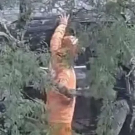 MOTORISTA SOBREVIVE APÓS CAMINHONETE DESPENCAR EM RIBANCEIRA NA AL-220