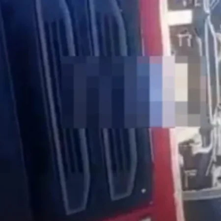 CAMINHÃO DE TRANSPORTE DE ANIMAIS TOMBA NO INTERIOR
