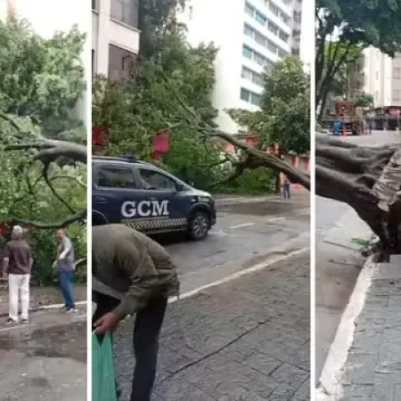 QUEDA DE ÁRVORE ATINGE PEDESTRE EM SP; MARQUISE CAI SOBRE 2 NA FARIA LIMA