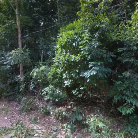 DOIS CORPOS AMARRADOS SÃO ENCONTRADOS ENTERRADOS NA MESMA COVA RASA EM MATA