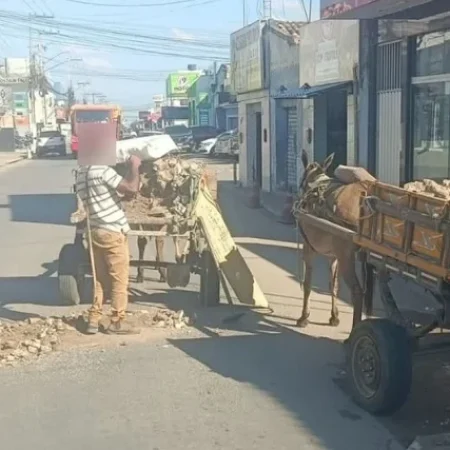 CARROCEIROS UTILIZAM RESTOS DE CONSTRUÇÕES PARA TAPAR BURACOS EM VIA MOVIMENTAD