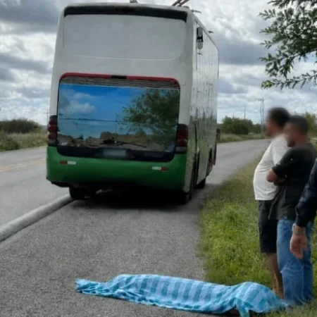 MULHER É ATROPELADA POR COLETIVO ÀS MARGENS DA BR 423