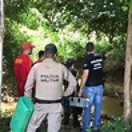 HOMEM É CONDENADO POR MATAR 6 CÃES ENFORCADOS E JOGAR CORPO EM CÓRREGO