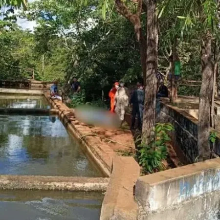ADOLESCENTE DE 15 ANOS MORRE AO PULAR DE ÁRVORE DURANTE BRINCADEIRA E BATER A CABEÇA