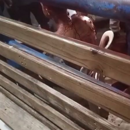 CHOCANTE: HOMEM TEM CORPO DILACERADO EM FRENTE A SUPERMERCADO