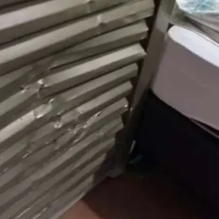 INCOMODADA COM SOM ALTO, MÃE PEDE PARA FILHO ABAIXAR O VOLUME E ACABA SENDO ESPANCADA