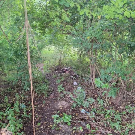 HOMEM É ENCONTRADO MORTO COM SINAIS DE APEDREJAMENTO