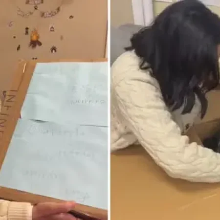 MULHER É INVESTIGADA POR SUSPEITA DE ENVIAR CACHORRO MORTO A VEREADORA