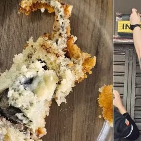 CLIENTE QUE ENCONTROU RATO MORTO DENTRO DE BOLO COMEU PARTE DO ALIMENTO, DIZ POLÍCIA