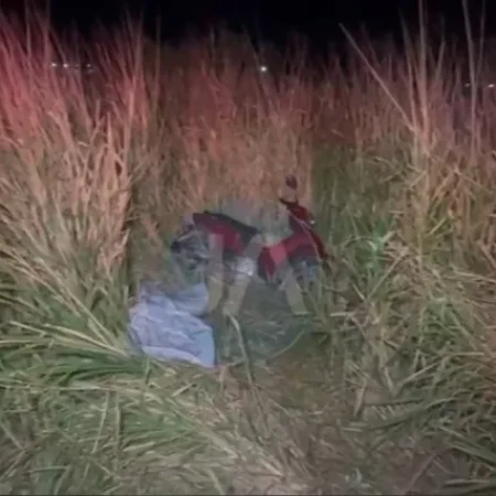 CONDUTOR MORRE APÓS PERDER CONTROLE E SAIR DA PISTA NA AL 220