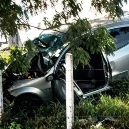 MOTORISTA MORRE APÓS CARRO BATER EM ÁRVORE NA AL-130