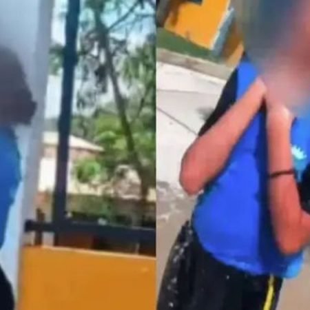 ADOLESCENTE ATACADA POR ABELHAS NA GRANDE BH APRESENTA MELHORA E DEVE DEIXAR CTI, DIZ FAMÍLIA
