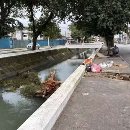 HOMEM MORRE AO SER ATINGIDO POR ÁRVORE DURANTE VENTANIA DE 100 KM/H