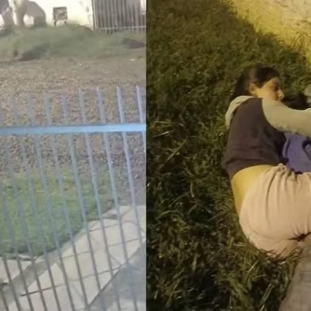 ATLETA DE JIU-JÍTSU DE 14 ANOS IMOBILIZA SUSPEITO DE INVADIR CASA EM SC