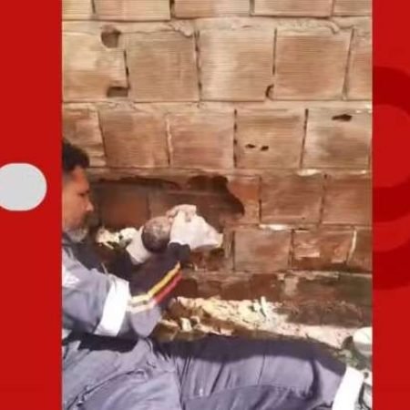 RECÉM-NASCIDO É ENCONTRADO ABANDONADO ENTRE DUAS RESIDÊNCIAS
