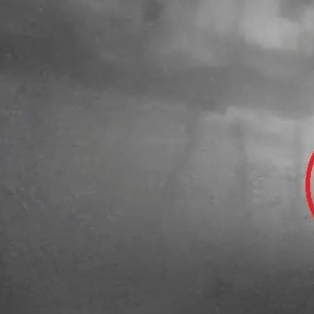 NÃO ERA PATA, ERA GARRA”: HOMEM DIZ TER VISTO ‘BICHO’ QUE ATACOU OVELHAS EM CRAÍBAS