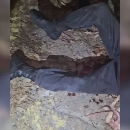BOMBA ESTOURA EM ADOLESCENTE QUE PLANEJAVA ATAQUE A ESCOLA