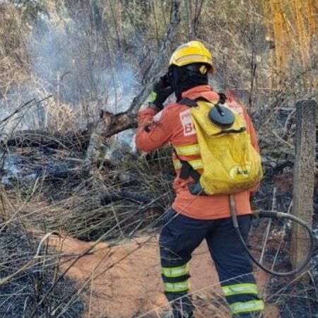 BOMBEIROS CONTROLAM INCÊNDIO EM ÁREA DE MATA