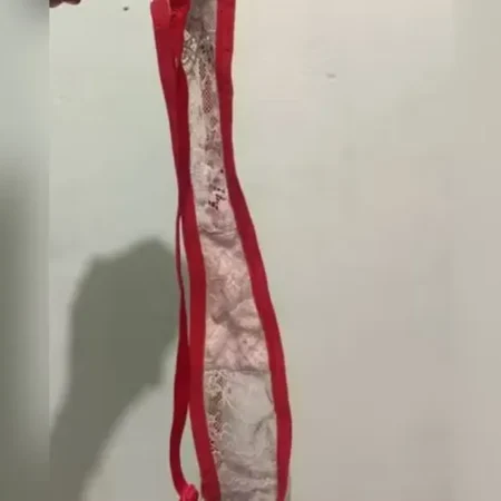 CALCINHA EM DELEGACIA CAUSA CONFUSÃO ENTRE DELEGADO E ADVOGADO