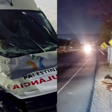 AMBULÂNCIA DO MUNICÍPIO DE PALESTINA COLIDE CONTRA ANIMAL NA AL- 130 EM PÃO DE AÇÚCAR