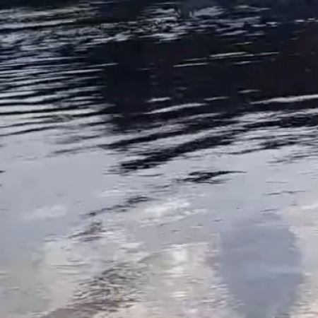 🚨 TRAGÉDIA NO SERTÃO: JOVENS DESAPARECEM APÓS MERGULHO EM RIO DE ALAGOAS