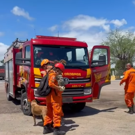 🚨 BOMBEIROS INTENSIFICAM BUSCAS POR “SEU BENÉ” NA BR-423, EM DELMIRO GOUVEIA 🚨
