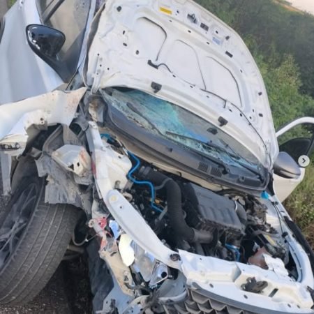 VEÍCULO DE VEREADOR DE PARICONHA COLIDE COM CAVALO EM RODOVIA DE AL