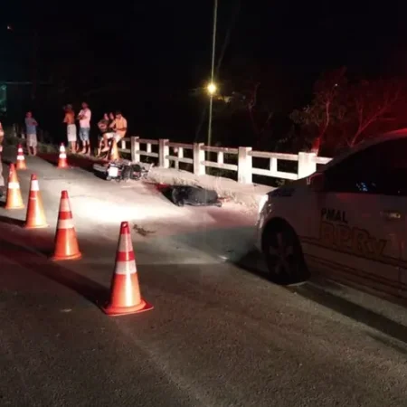 CAVALO MORRE APÓS SER ATROPELADO NA AL-115 E MOTORISTA ABANDONA VEÍCULO NO LOCAL