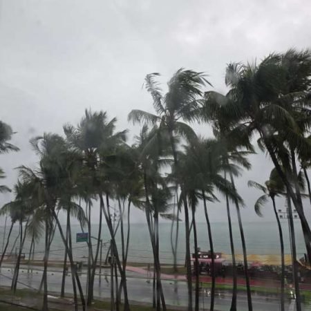 ALERTA EM ALAGOAS: CHUVA PODE CHEGAR A 100 MM E VENTOS A 100 KM/H COM RISCO DE APAGÃO