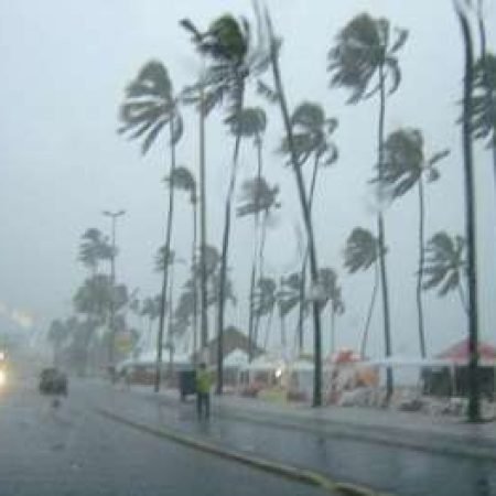 CHUVAS EM MACEIÓ PROVOCAM QUEDA DE ÁRVORE E DESABAMENTO