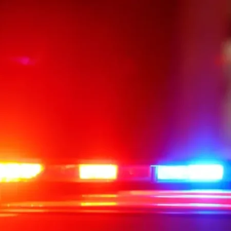 CORPO DE HOMEM ENCONTRADO EM FAZENDA ESTAVA SENDO DEVORADO POR CÃES