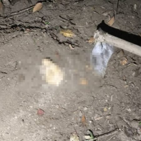 CORPO DE HOMEM ENCONTRADO ENTERRADO EM REGIÃO DE MATA