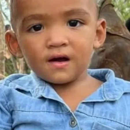 TRAGÉDIA NA AL-130: CRIANÇA DE 3 ANOS MORRE EM ACIDENTE COM ÔNIBUS EM PÃO DE AÇÚCAR