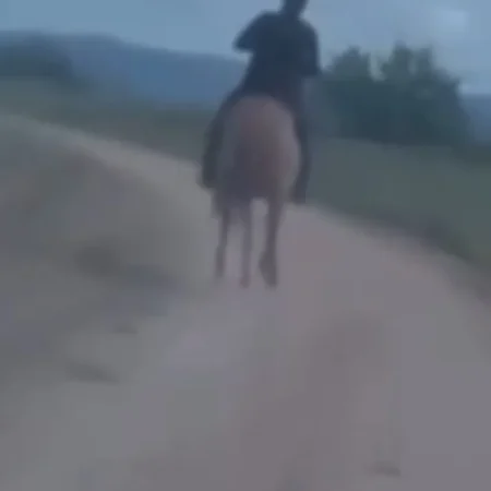 DELEGADO A CAVALO PERSEGUE E PRENDE SUSPEITO DE ESTUPRO DE CRIANÇA EM AL; VEJA VÍDEO!
