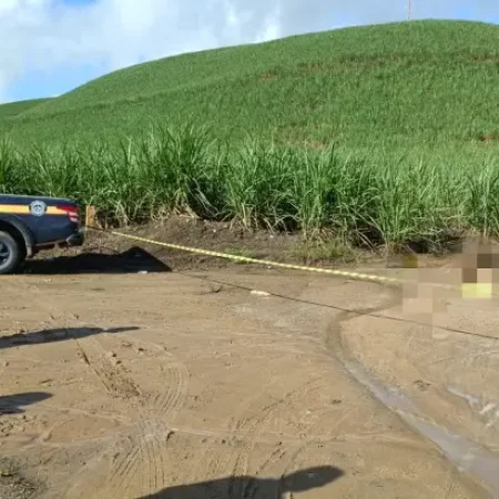 TERROR: PARTES DE CORPO HUMANO SÃO ACHADAS ÀS MARGENS DE RODOVIA