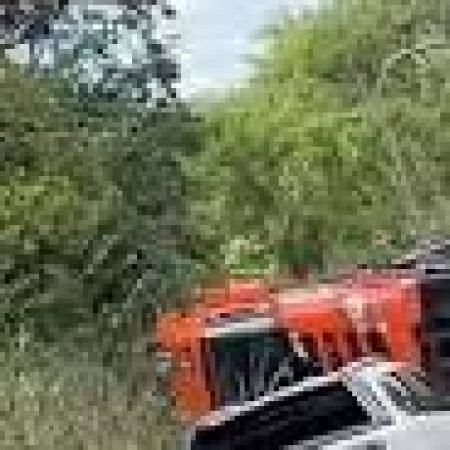 CARRETA TOMBA E MOBILIZA PRF NA BR-316, EM ATALAIA