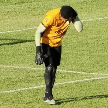 GOLEIRO CAI EM FORMIGUEIRO APÓS FAZER DEFESA EM PARTIDA DE FUTEBOL E CENA GANHA AS REDES