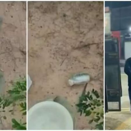 HOMEM É PRESO POR PLANEJAR ATAQUE COM GRANADAS A DELEGACIA