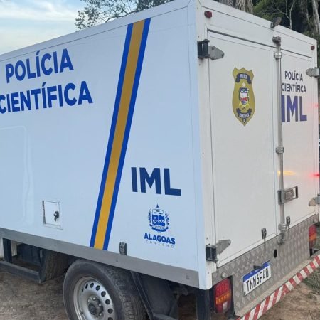 HOMEM É MORTO A TIROS ENQUANTO TRABALHAVA NO QUINTAL DE CASA