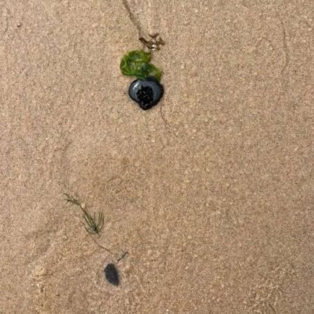 MANCHAS ‘MISTERIOSAS’ VOLTAM A APARECER EM PRAIAS DE MACEIÓ; VEJA O QUE SE SABE