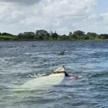 MULHER DESAPARECE APÓS BARCO VIRAR NO RIO SÃO FRANCISCO