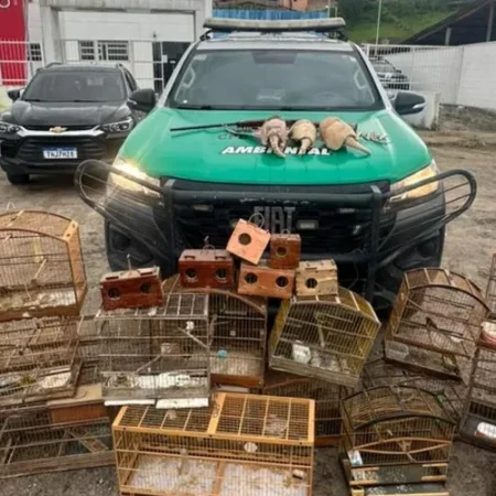 OPERAÇÃO ONDA VERDE RESGATA 30 AVES SILVESTRES NO INTERIOR DE ALAGOAS