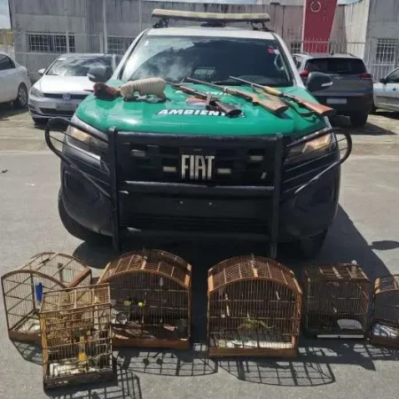 PM APREENDE ANIMAIS SILVESTRES E TRÊS ARMAS EM OPERAÇÃO AMBIENTAL