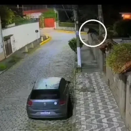 MULHER-GATO” INVADE CASAS DURANTE A MADRUGADA E ASSUSTA MORADORES