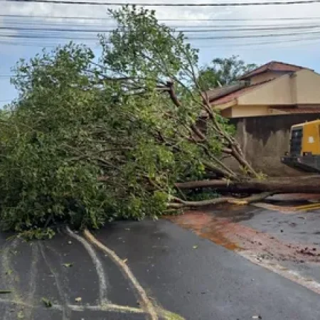 CIDADES DA ZONA DA MATA ESTÃO SOB ALERTA DE VENDAVAL; VEJA LISTA