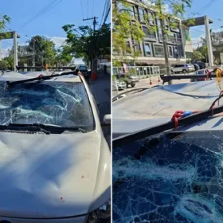 MOTORISTA QUEBRA PRÓPRIO CARRO DURANTE FISCALIZAÇÃO